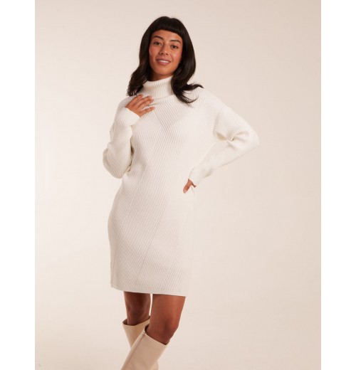 Rib Knitted Roll Neck Jumper Dress